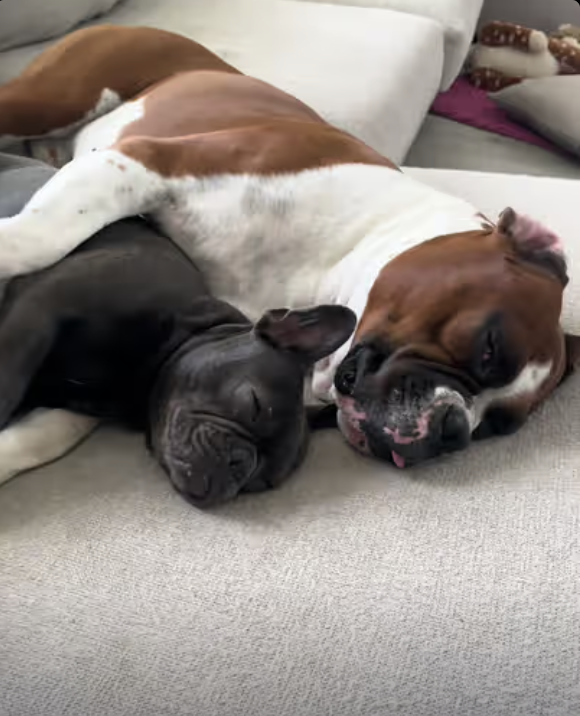 Two Peas In A Pod !!!